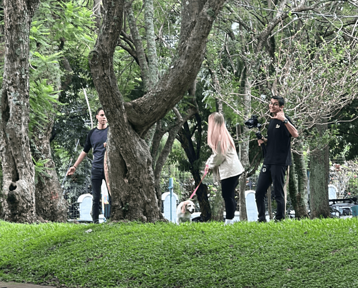 Who don't settle for the norm