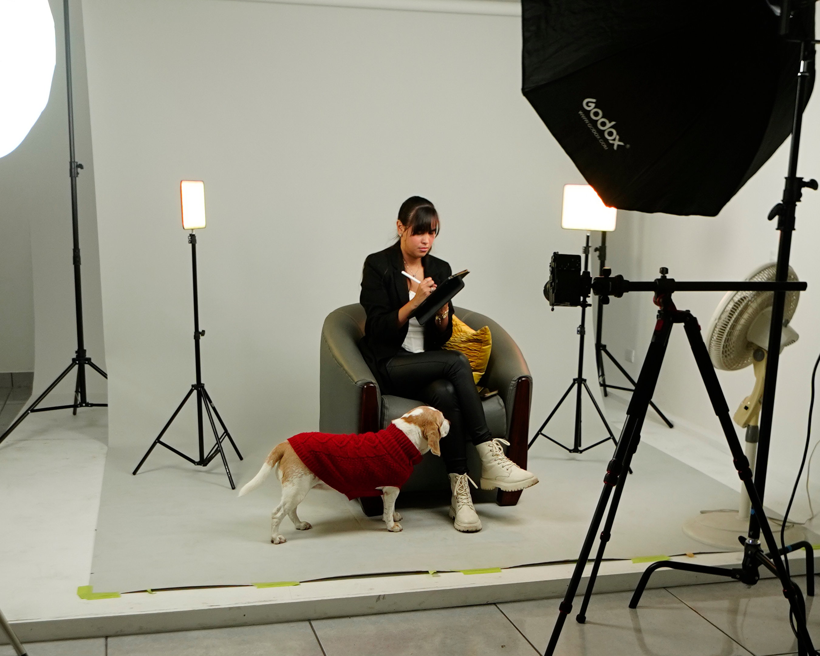 Creative work environment and innovation